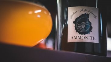 Biere et Vin Ammonite - BARMAG