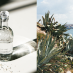 Josiane Agave Mediterranée Featured Image