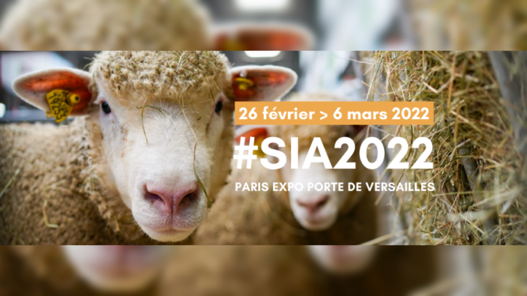 SIA 2022 - Spiritueux - Banner BARMAG