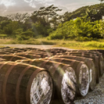 Canerock Banner BARMAG