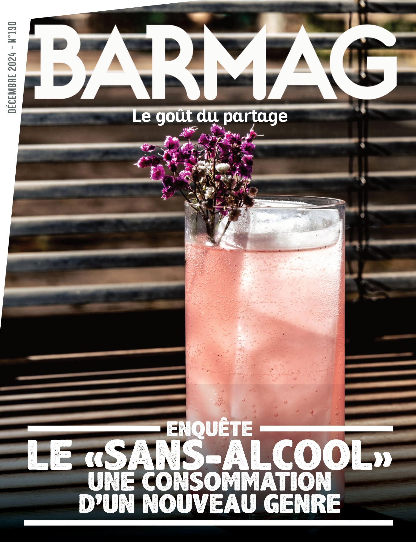 Barmag 189