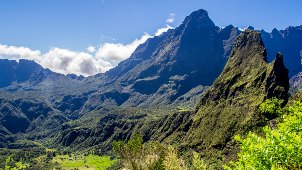 LA RÉUNION DES RHUMS : UN SIÈCLE D'EXCELLENCE ET D'AUTHENTICITÉ (COMMUNIQUÉ)